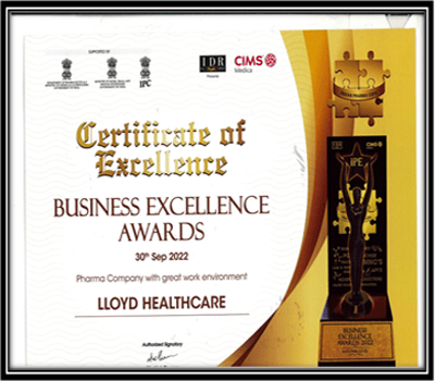Company with great work environment at the 11th Grand Edition of Business Excellence Award 2022